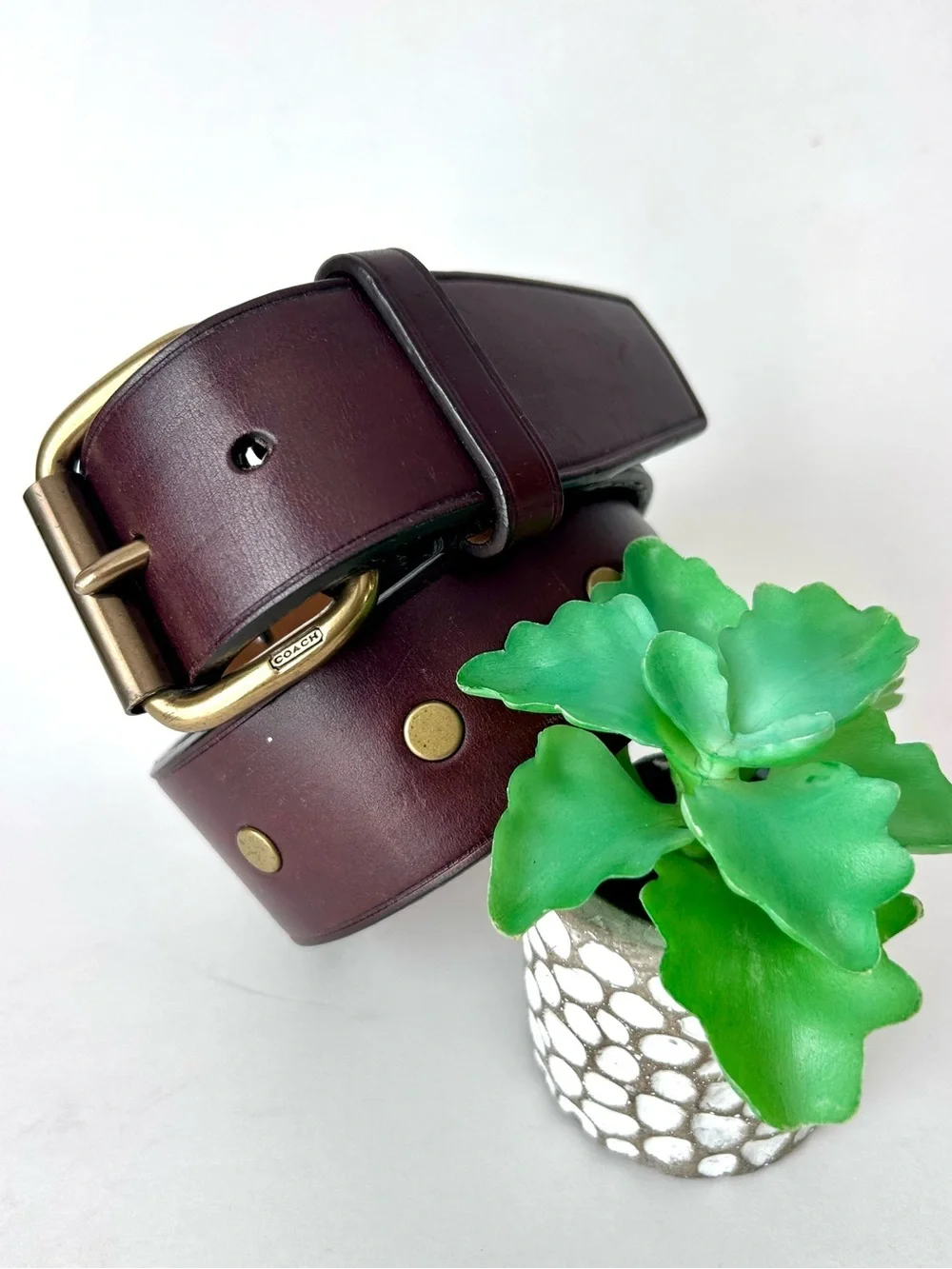 Coach Brown Leather Studded Belt Size 34”